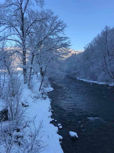 a river with snow on the banks and trees at Сонячна Соната in Polyana