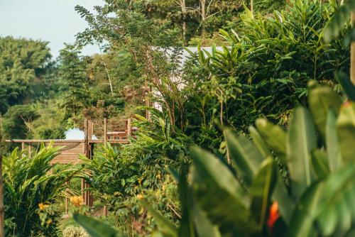 Zahrada ubytování Glamping Entre Rios