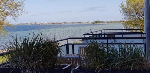 a boat on the water with some plants at Haus Achtern Diek in erster Reihe am Meer in Fehmarn