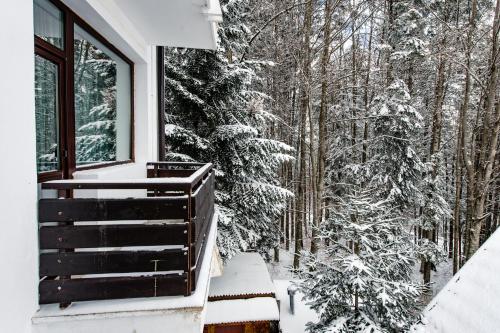 a snow covered porch with snow covered trees at Hotel Hera in Predeal
