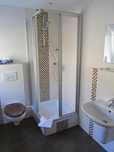 a bathroom with a shower and a toilet and a sink at Pension Haus Waldfrieden, MeineCardPlus inklusive in Willingen