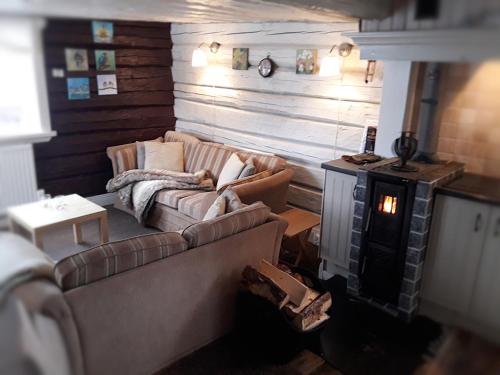 a living room with two couches and a fireplace at Eden's Garden Cottages in Svanå