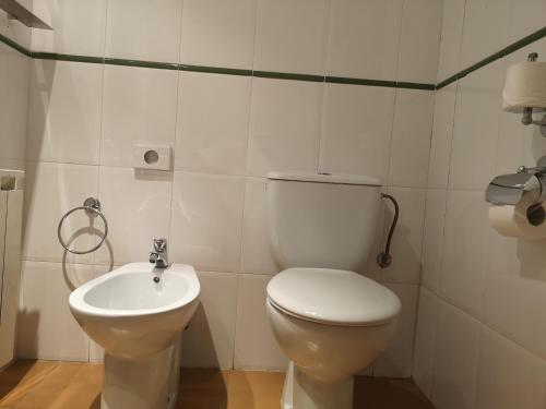 a bathroom with a toilet and a sink at Hotel Taüll in Pla de l'Ermita