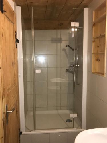 a shower with a glass door in a bathroom at Haus Buol Bergün in Bergün