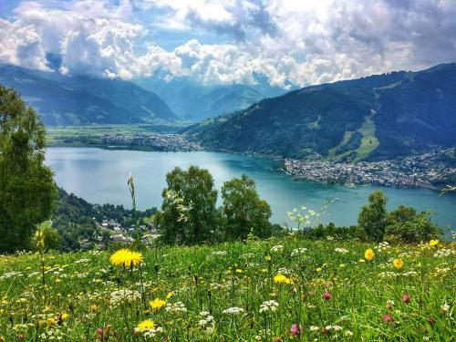 a field of flowers on a hill overlooking a lake at Ferienhaus Pichl in Bruck an der Großglocknerstraße