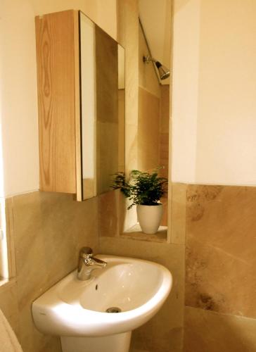 un bagno con lavandino e pianta in vaso di The Loft a Johannesburg