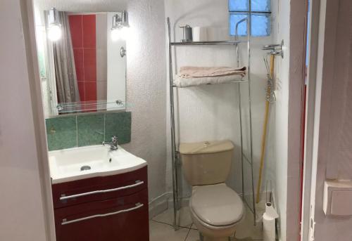 une salle de bain avec toilettes, lavabo et miroir dans l'établissement Appart T1 Gare TGV spacieux et tout équipé, au Mans