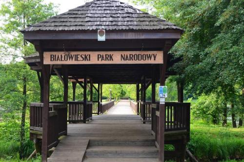 a gazebo in a park with a walkway at Nowoczesny apartament w Puszczy Białowieskiej in Hajnówka