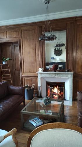 a living room with a couch and a fireplace at DEMEURE DES CORDELIERS avec parking privé in Blois