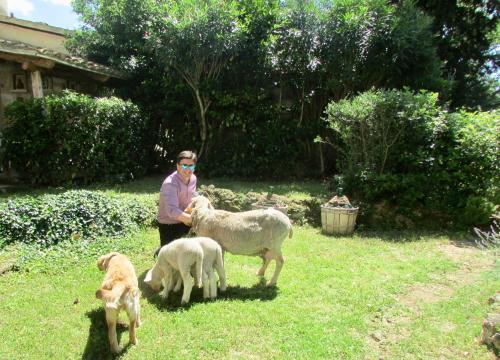 a man with three sheep and a dog in a yard at Agriturismo "Borgo Madonna degli Angeli" - charming cottages in the gardens ! in Tocco da Casauria