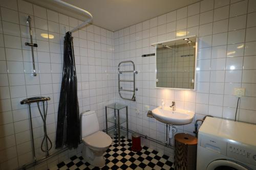 a bathroom with a toilet and a sink and a mirror at RIBO Apartment Riksgränsen in Riksgränsen