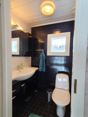 a bathroom with a toilet and a sink at Tarula Holiday Home in Melkoniemi