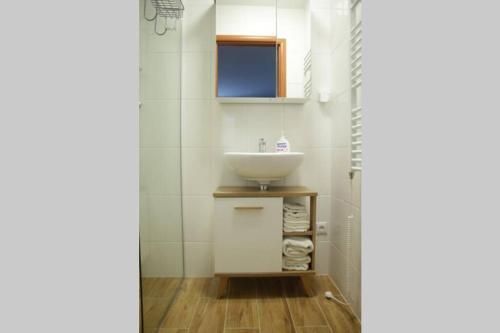 ein Bad mit einem Waschbecken und einem Spiegel in der Unterkunft Apartmán - Dlhé Diely in Bratislava