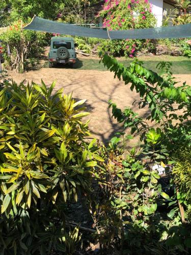a car is parked in a yard with plants at El Pargo Feliz in Montezuma