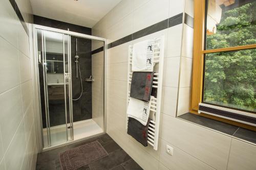 La salle de bains est pourvue d'une douche et d'une fenêtre. dans l'établissement Alpenherz, à Filzmoos
