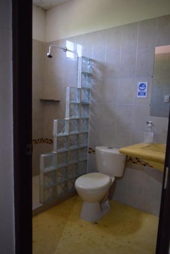 聖安特羅的住宿－La casa mono cuco Hostel，浴室配有卫生间、淋浴和盥洗盆。
