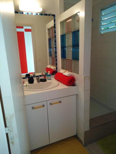 une salle de bain avec un lavabo et une douche dans l'établissement STUDIO VUE SUR MER, à Le Moule