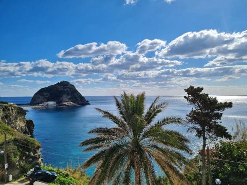 a palm tree in front of a body of water at Villa Bina Sea Hotel in Ischia