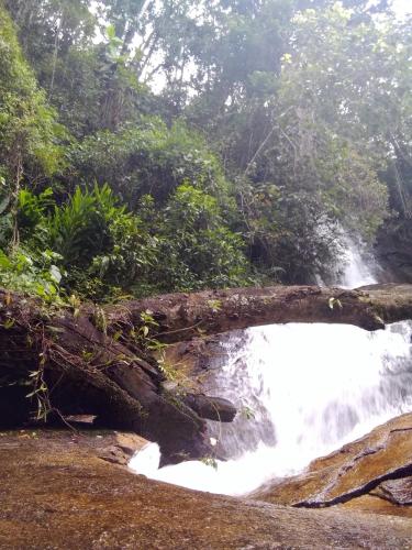 a waterfall in the jungle with a fallen tree at Recanto das Estrelas in Aiuruoca