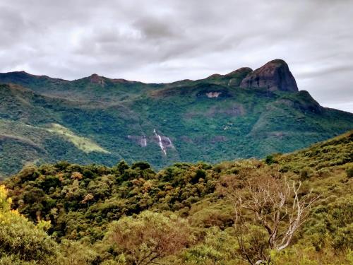 a mountain in the middle of a forest at Recanto das Estrelas in Aiuruoca