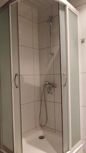 y baño con ducha y puerta de cristal. en Aare kodumajutus Sandri tuba, en Tammiku