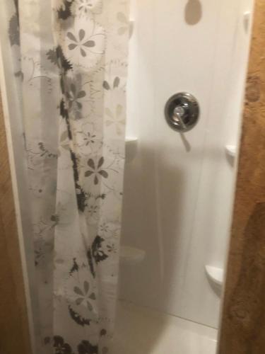 a bathroom with a shower with a curtain with flowers at The HideAway Tiny Cabin in East Durham