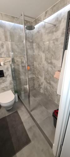 y baño con ducha y aseo. en Apartment Manhattan, en Tarnowskie Góry