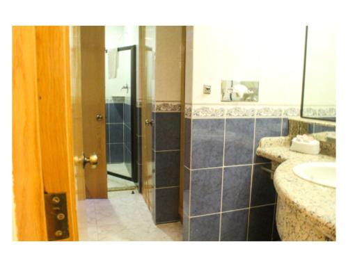 a bathroom with a shower and a sink at Hotel Mandarin Carton in Mexico City