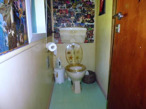 een badkamer met toilet met deksel bij Cottage on The Beach - Moetapu Bay Bach in Whatanihi