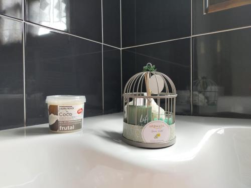 a bird cage with a plant in it on a bathroom counter at La Riguera De Ucieda in Ucieda de Arriba
