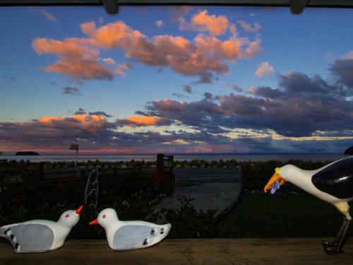 three white ducks sitting on a table in front of a wall at Raisin Town - Marahau Bach in Marahau