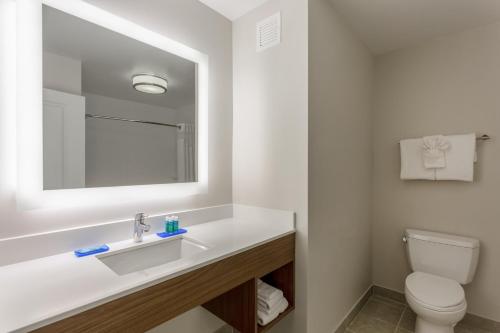 a bathroom with a sink and a toilet at Holiday Inn Express & Suites Vandalia by IHG in Vandalia
