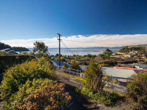 a view of the ocean from a hill with plants at Beach House on the Ridge - Kaiteriteri House in Kaiteriteri