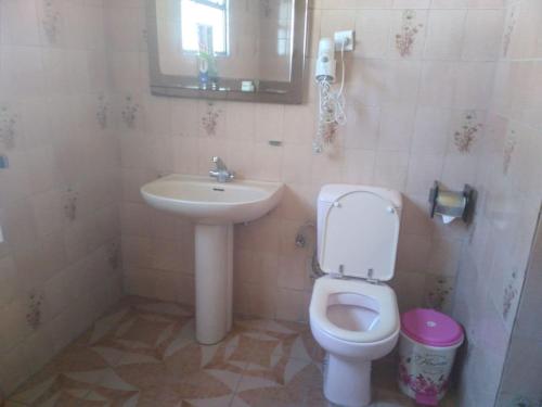 a bathroom with a toilet and a sink at GHION HOTEL in Addis Ababa