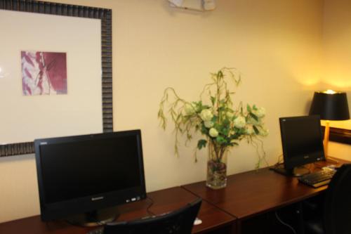 a desk with a computer monitor and a vase of flowers at Holiday Inn Express Hotel & Suites - Atlanta/Emory University Area by IHG in Decatur