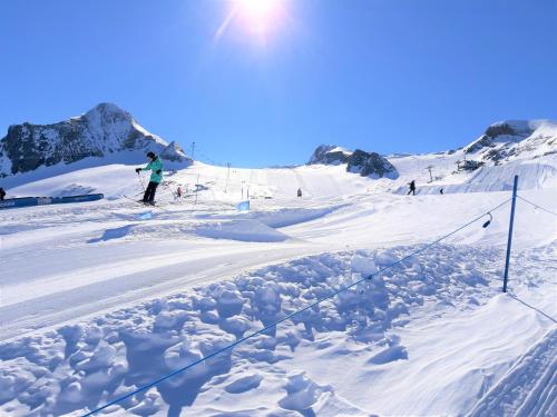 Alphotel Mittersill en invierno