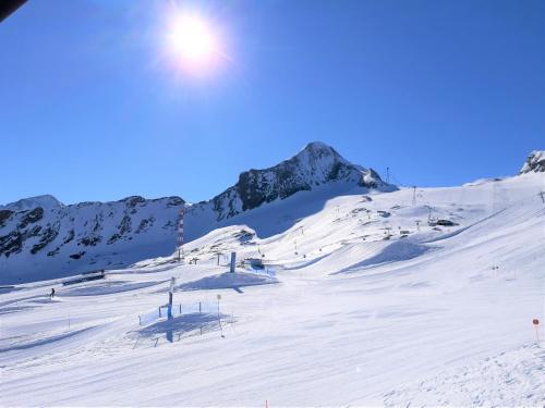 Alphotel Mittersill en invierno
