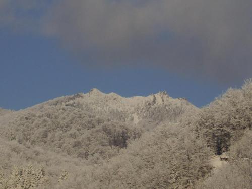 uma montanha com árvores cobertas de neve e um céu azul em Pensiunea Ana em Cavnic