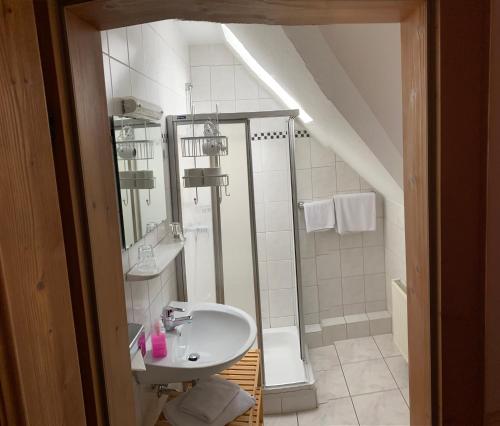 a bathroom with a sink and a shower at Hotel - Restaurant - Café Forsthaus Lahnquelle in Netphen