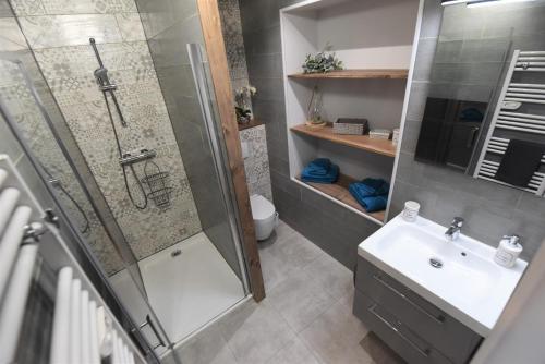 a bathroom with a shower and a sink at Studio 86 - Climatisation & proche centre-ville- 2 personnes - BnB Epernay in Épernay