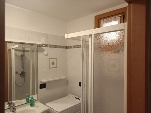 een badkamer met een douche, een toilet en een wastafel bij Andalo 2000 in Andalo