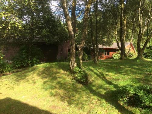 a yard with trees and a house in the background at Birchbrae Highland Lodges in Onich