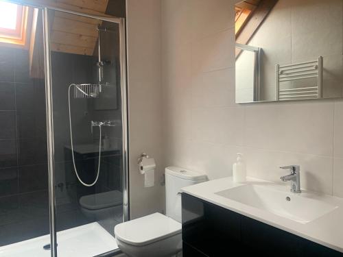 een badkamer met een douche, een toilet en een wastafel bij Casa Taconera in Ansó