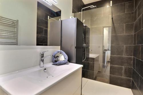 La salle de bains est pourvue d'un lavabo et d'une douche. dans l'établissement Appartement entier - refait à neuf - Loft - City Center, à Lyon
