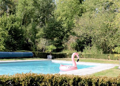 einen rosa Schwan im Pool in der Unterkunft Le Vivier in Trigny