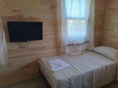 een slaapkamer met een televisie en een bed met een raam bij KARABİBİK BUNGALOW in Demre