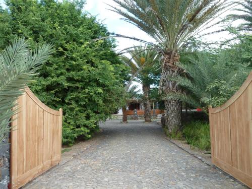 a wooden gate leading to a driveway with a palm tree at Villa Morabeza Guest House in Mindelo