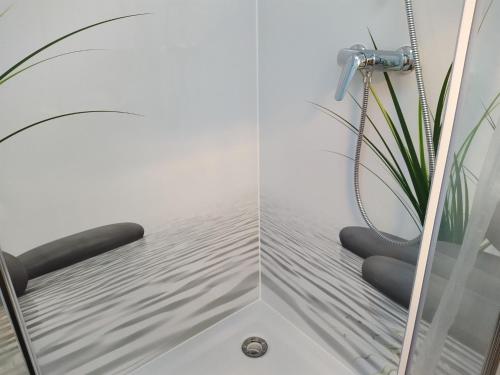 ein Bad mit einer Dusche mit einem Duschkopf in der Unterkunft Villa MeerSinn in Bad Zwischenahn