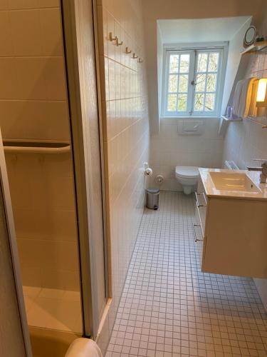 a bathroom with a shower and a sink and a toilet at Klosterschänke Hude Hotel Ferienwohnungen Restaurant Café in Hude