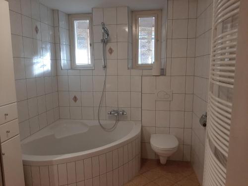 Kúpeľňa v ubytovaní Bergwelten